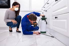 Emergency Pest Control Services in Winchester, MO